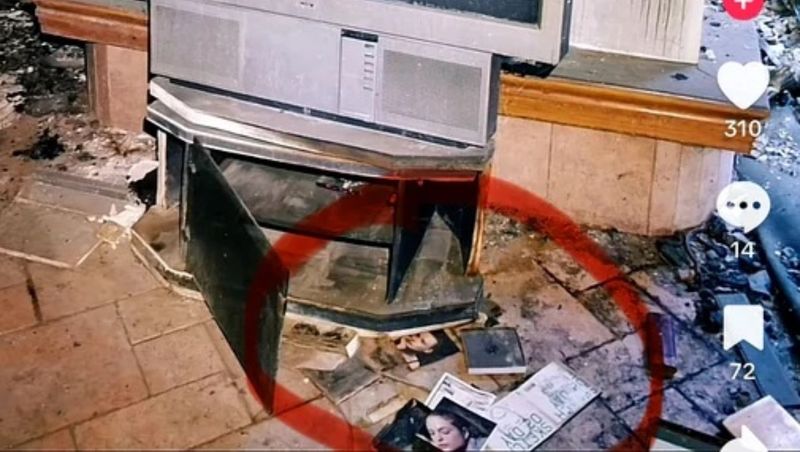 irinel columbeanu, vila, forografii, dezvaluiri, imagini