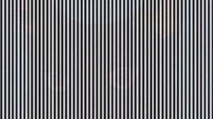 iluzie optică, iluzie optică pisică, ilusizie optică dungi, teste de inteligență