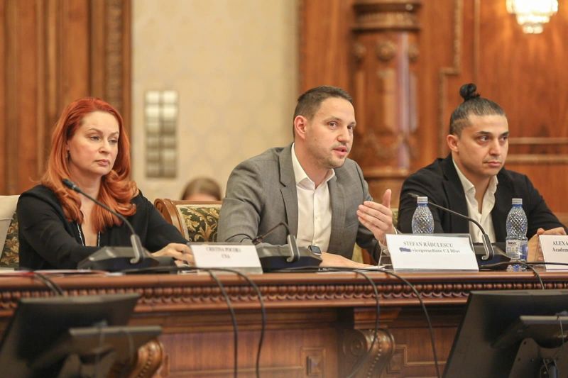 stefan radulescu cristina pocpra
