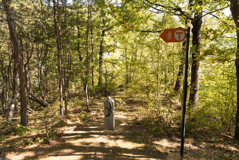 Marcaj turistic Via Transilvanica