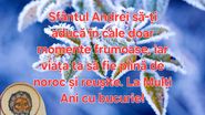 Urări de Sfântul Andrei 2023