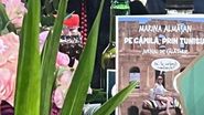 Marina Almășan jurnal de calatorie