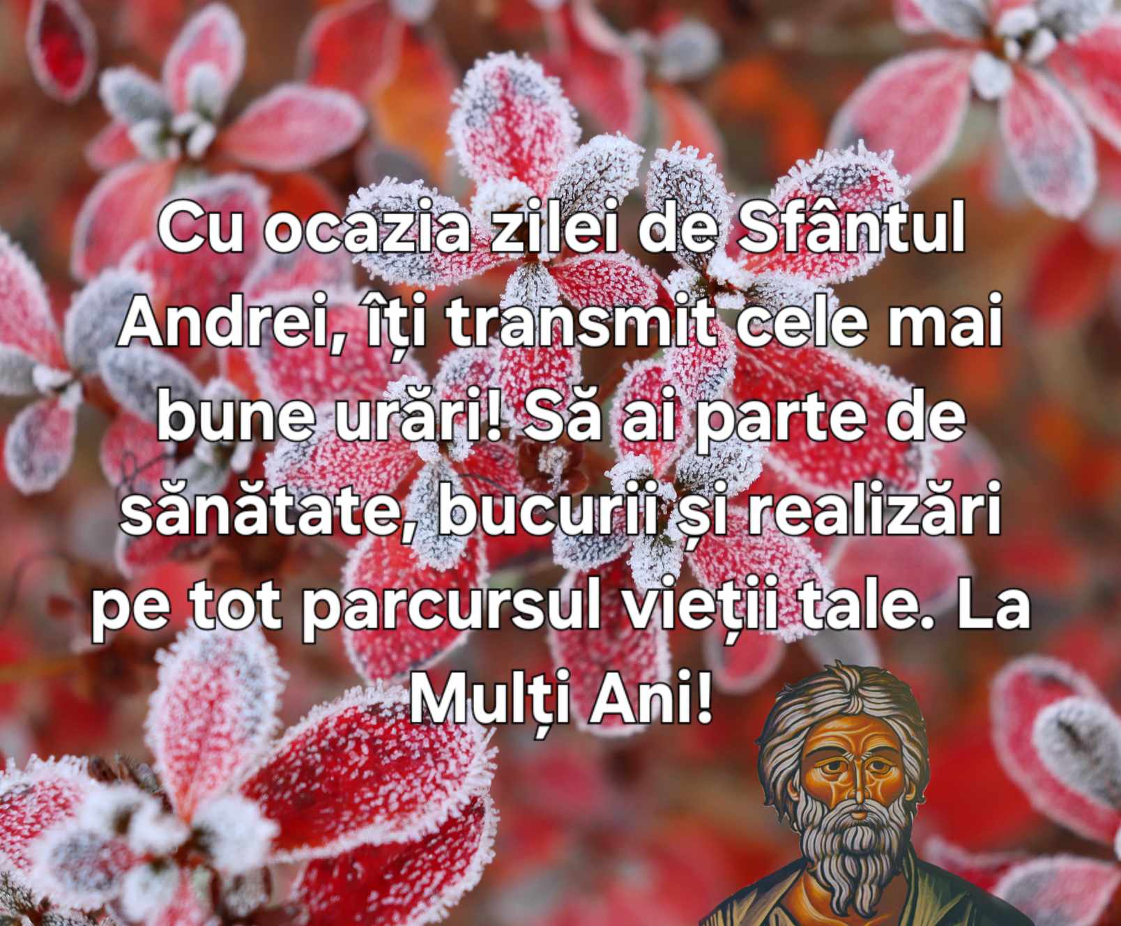 TOP 10 Felicitări de Sfântul Andrei, care este sărbătorit pe 30