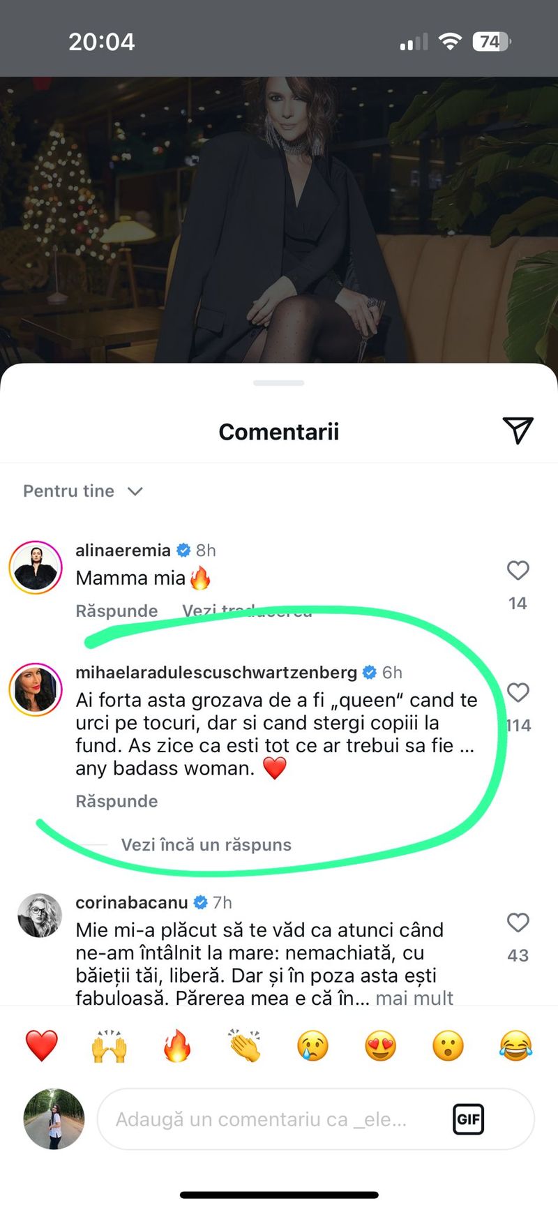 adela popescu mesaj de la mihaela radulescu