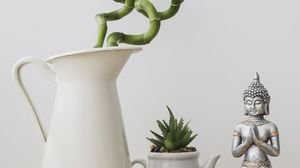aranjament feng shui cu bambus norocos și cactus