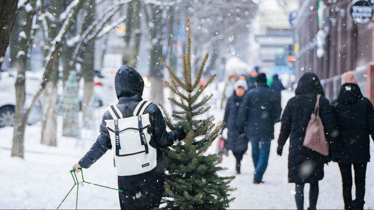 Cum să eviți uscarea timpurie a bradului natural de Crăciun. Idei și sfaturi practice pentru a îi menține prospețimea