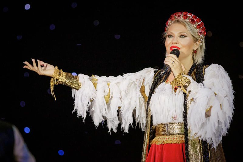 mirela vaida carieră