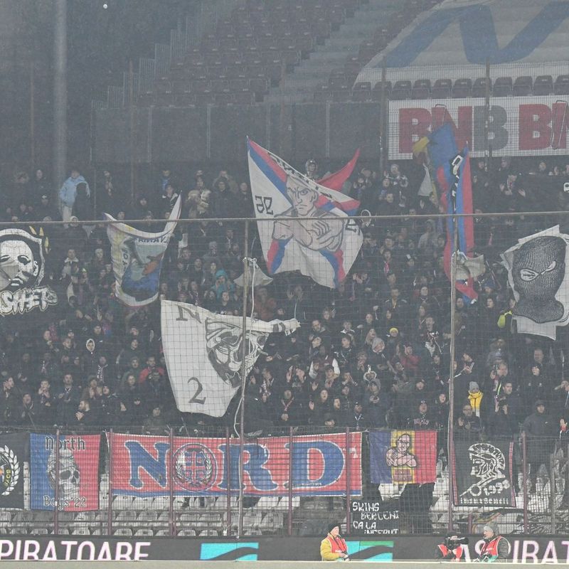 peluza nord fcsb