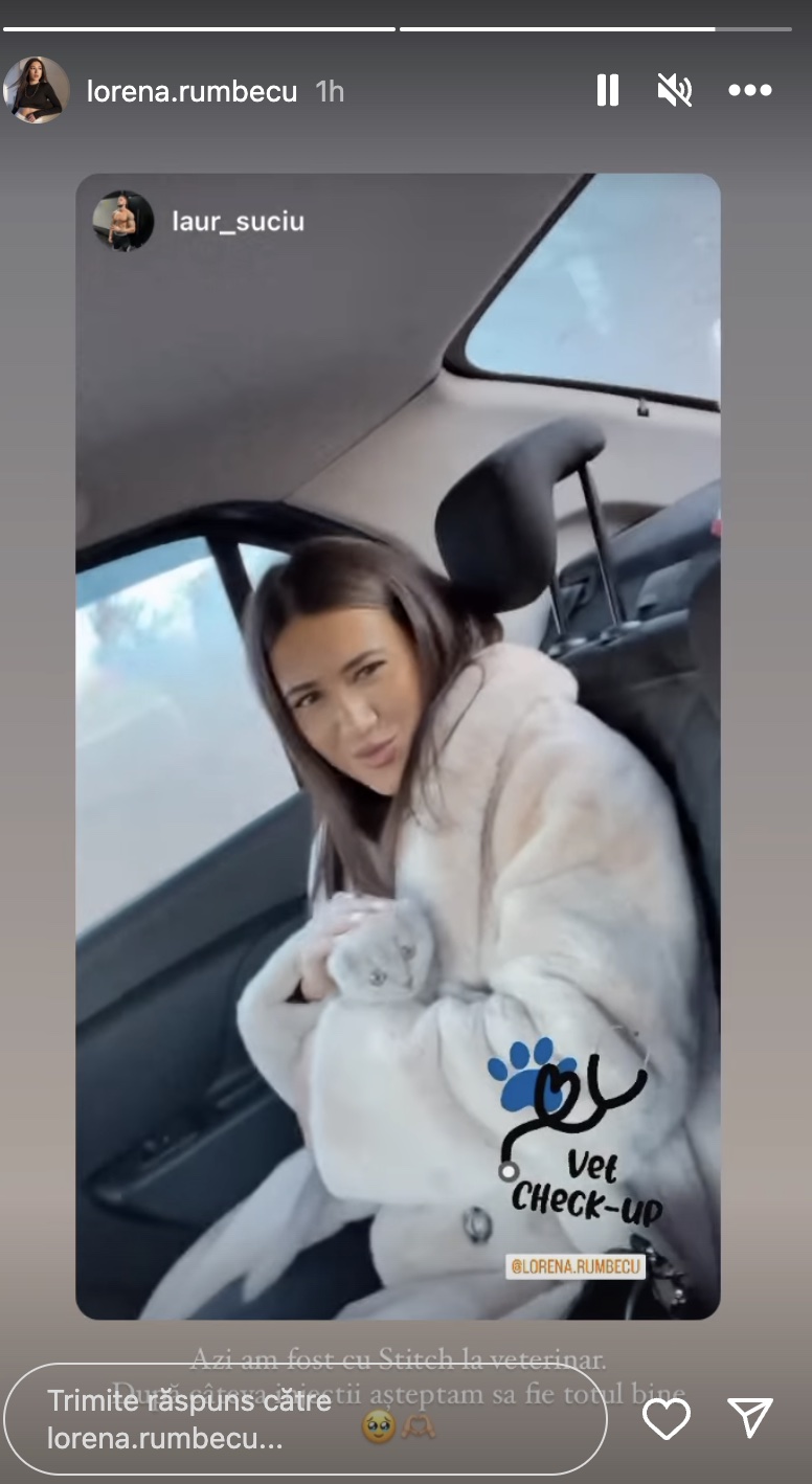 Lorena și pisoiul ei, Stitch