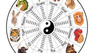 12 zodii din horoscopul chinezesc