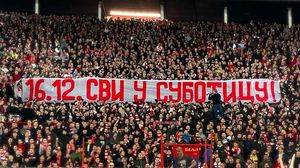 steaua rosie belgrad manchester city