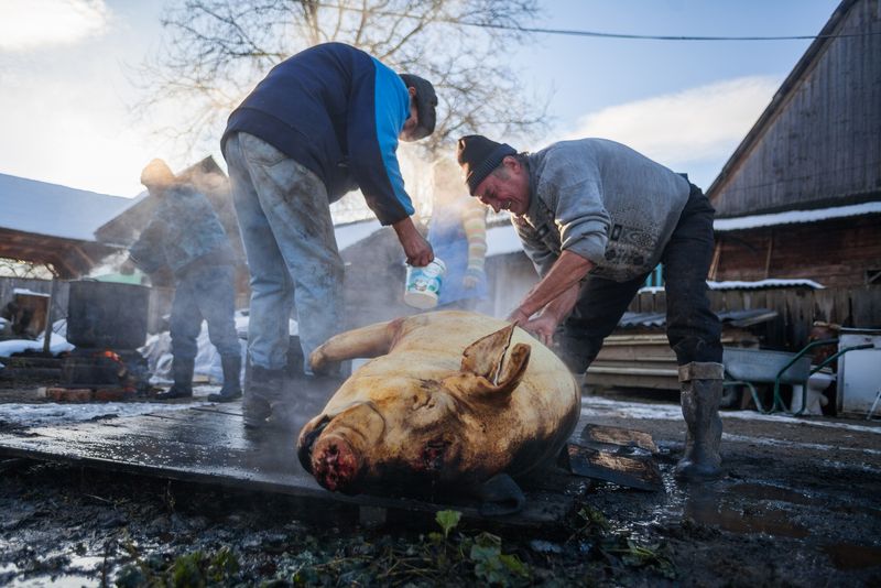 Tăierea porcului de Ignat