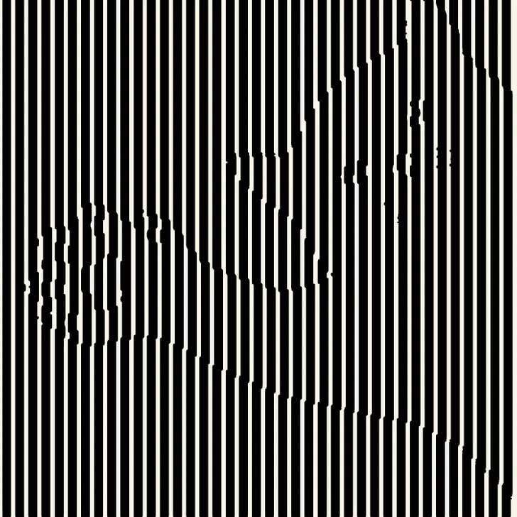 iluzie optică pisică 