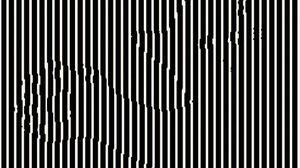 iluzie optică pisică 