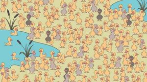 Imagine cu caracter ilustrativ