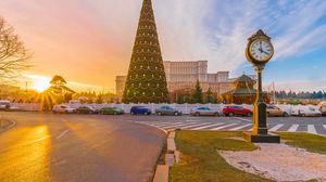 bradul de craciun din bucuresti