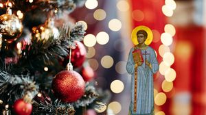 brad de craciun, sfantul stefan