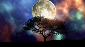 Lună Plină, Copac