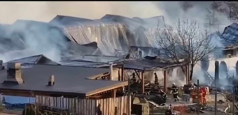 ferma dacilor după incendiu 