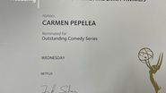 carmen pepelea premiu