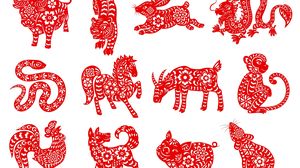 12 zodii din horoscopul chinezesc