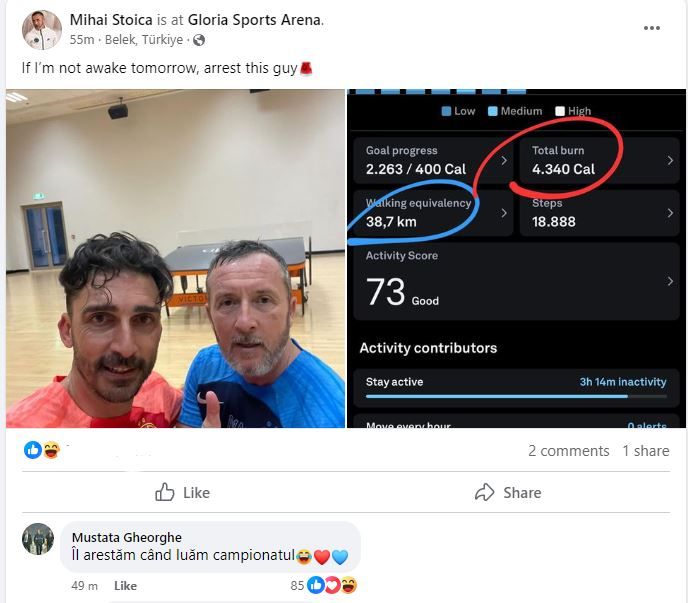 mihai stoica elias charalambous