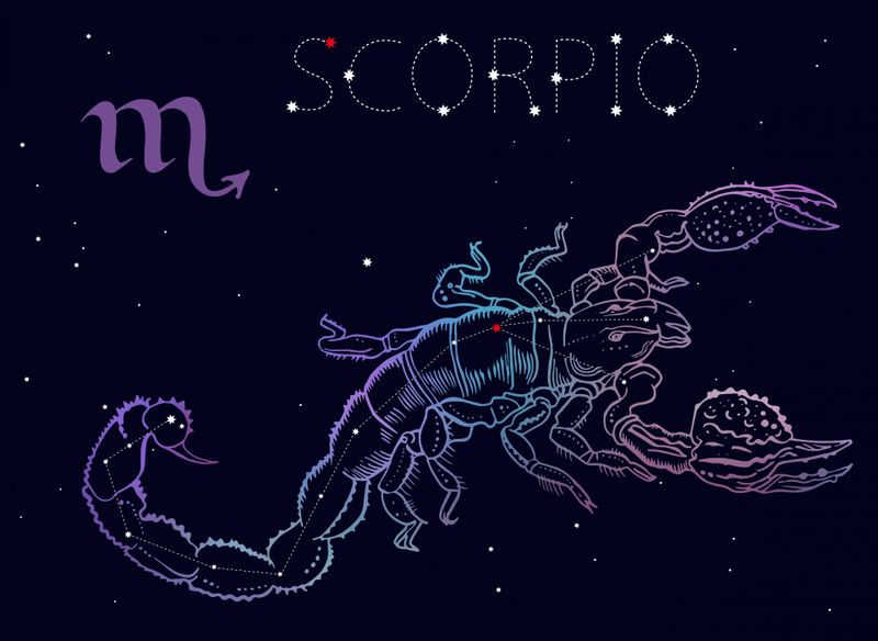 zodia Scorpion