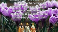 Mesaje de Sfinții Trei Ierarhi