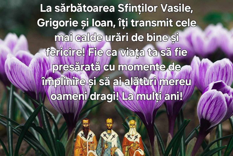 Mesaje de Sfinții Trei Ierarhi