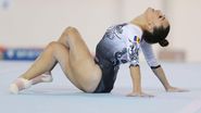 Larisa Iordache 