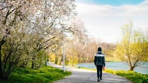 vremea bucurești februarie 