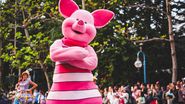 personaj disneyland 