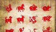 cele 12 semne zodiacale in horoscopul chinezesc 