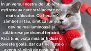 Declarație de dragoste