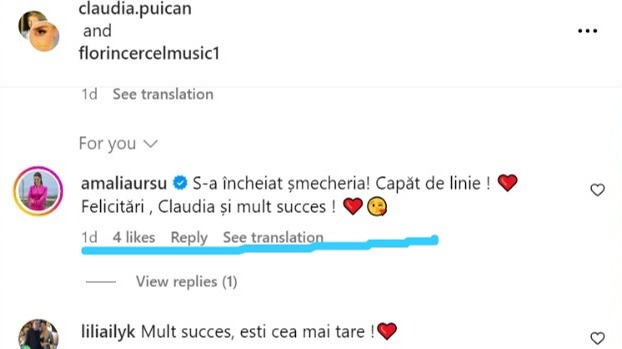 Comentariul lăsat de Amalia Ursu la postarea Claudiei Puican puican