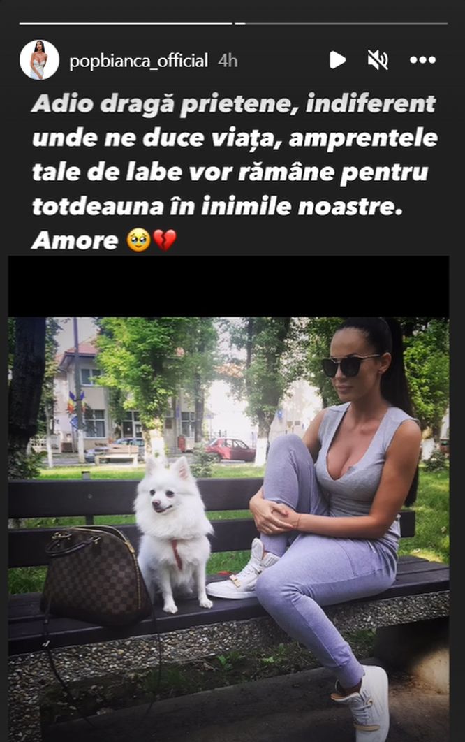 Postarea făcută de Bianca Pop pe Instagram  Bianca Pop câine