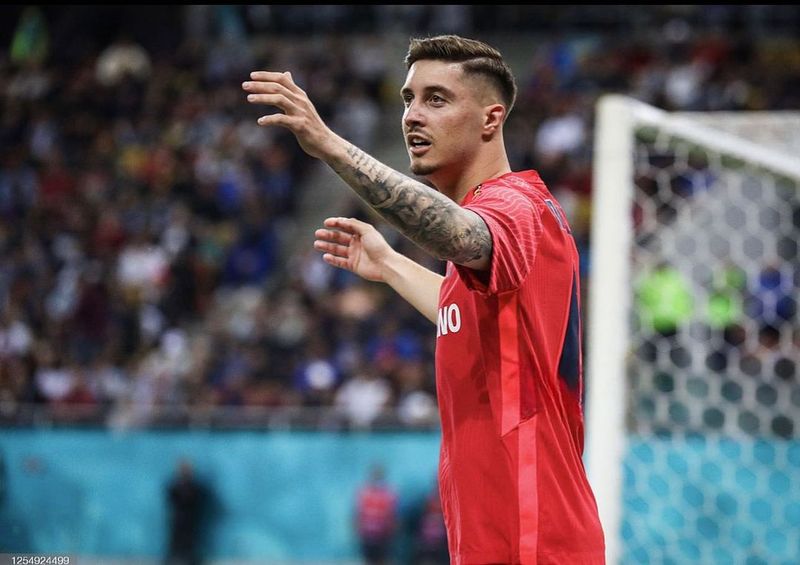 david miculescu fcsb