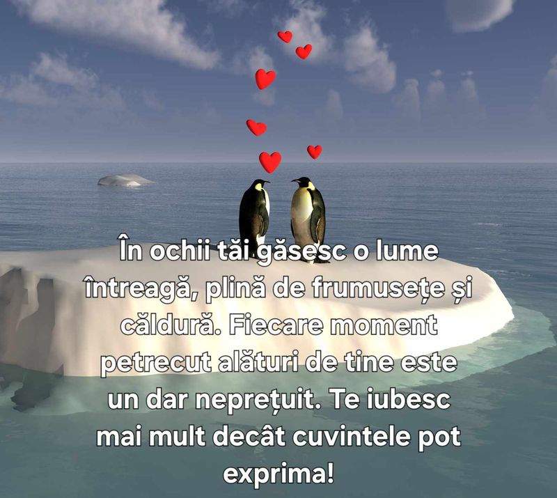 Declarații de dragoste pentru Valentine's Day