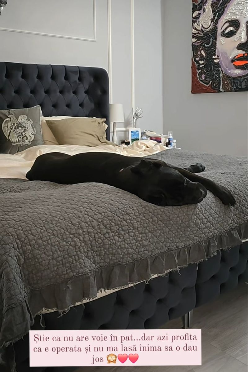 Animalul de companie al Oanei Roman, Luna oana roman animal de companie