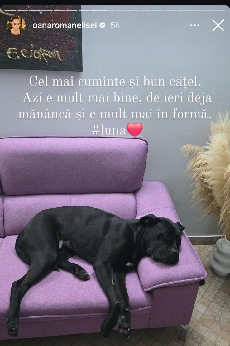 oana roman declaratii