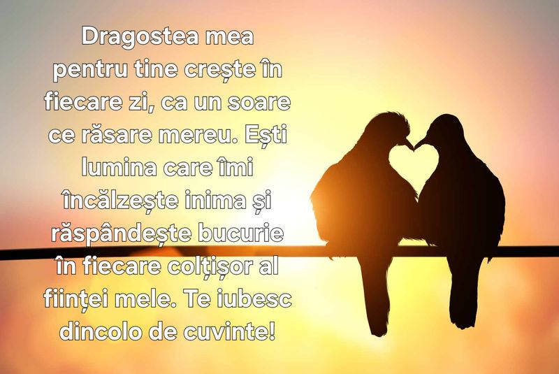 Declarație de dragoste