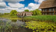 Peisaj Delta Dunării, România