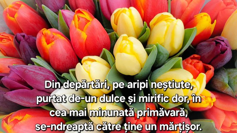 felicitare cu mesaj de 1 martie 