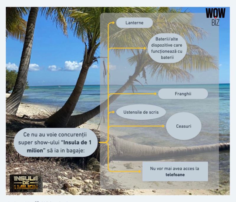 Insula de 1 milion, bratara Insula de 1 milion, kanal d, emisiune kanal d