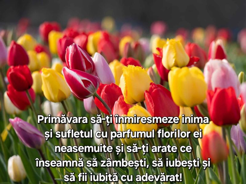 Felicitări de 1 Martie