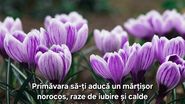 Mesaje de 1 martie