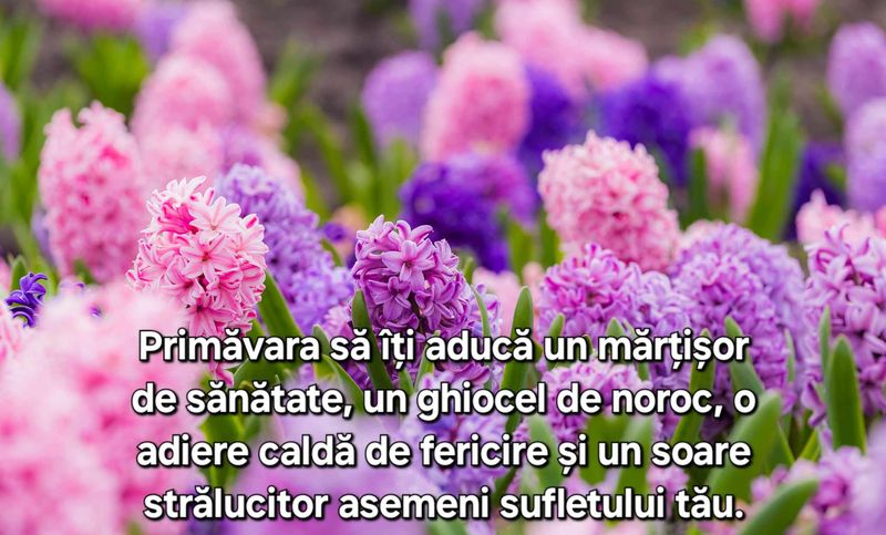 Flori, Mesaje de 1 martie