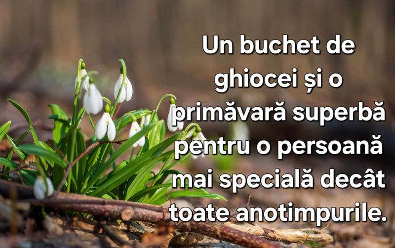 Mesaje de 1 martie 2024