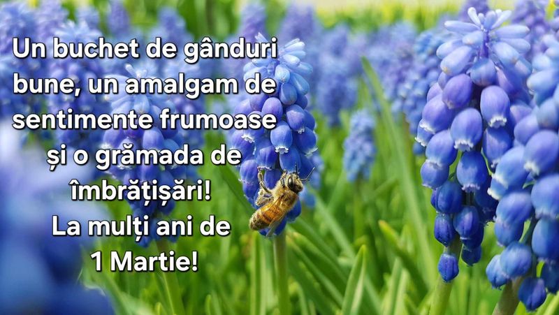 felicitari de 1 martie, imagini frumoase de primavara, mesaje de 1 martie 