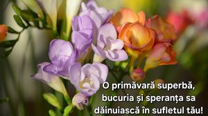 Mesaje de 1 martie 2024